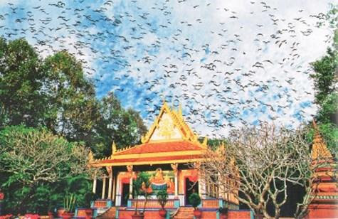 Tour miền Tây 3N2Đ - Tham quan chùa Dơi Sóc Trăng