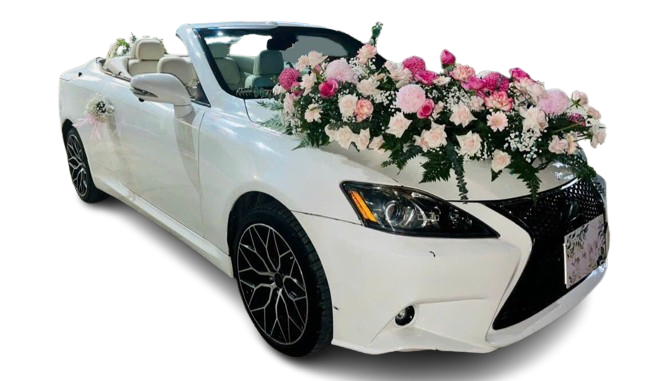 Xe hoa Tam Hang Tourist